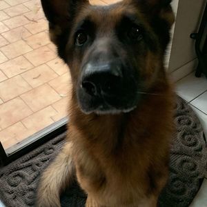 Meet your Posher, Eduardo